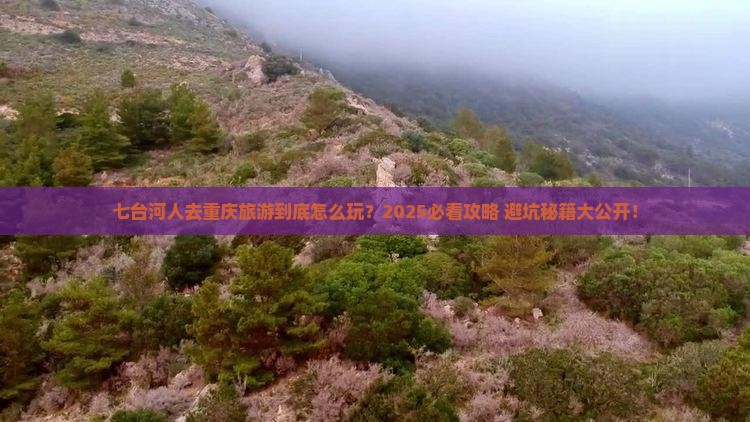 七台河去重庆团体旅游