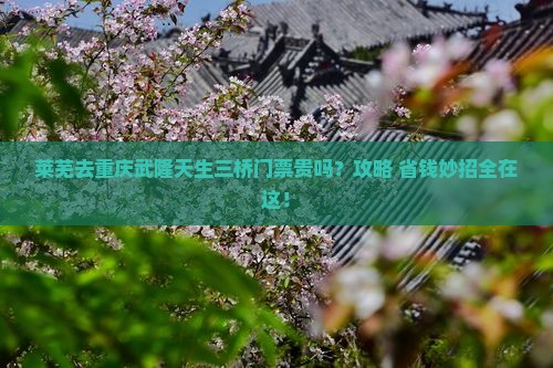 莱芜去重庆武隆天生三桥门票