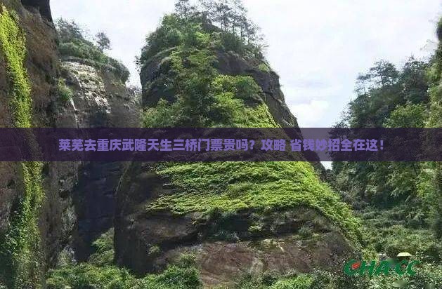 莱芜去重庆武隆天生三桥门票