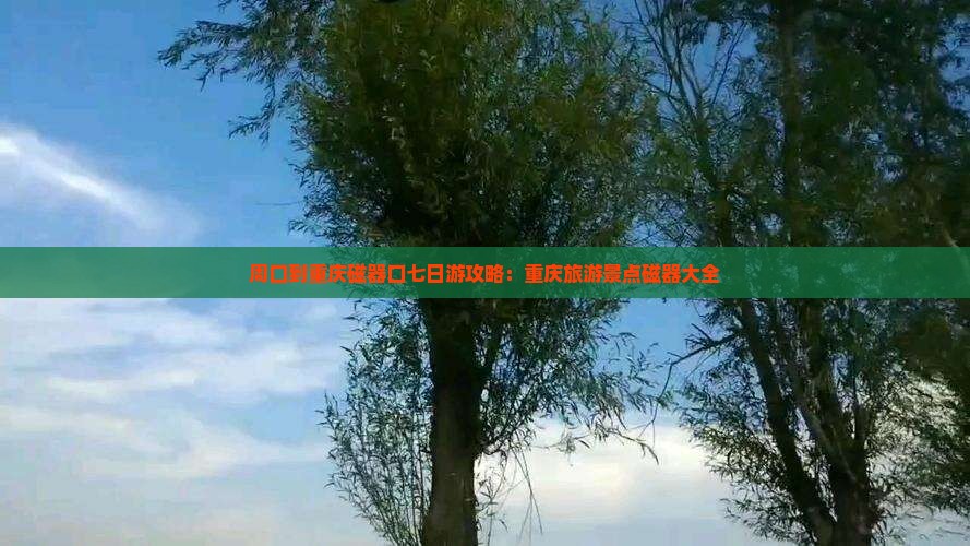 周口到重庆磁器口七日游