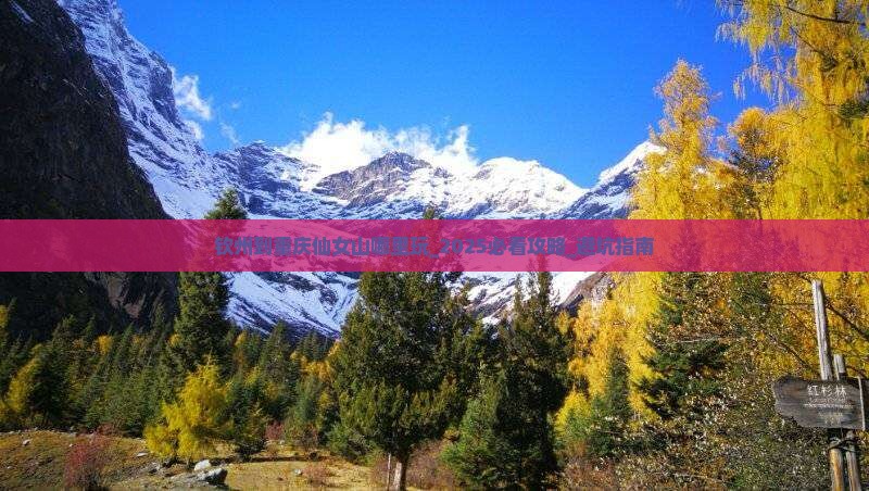 钦州到重庆仙女山哪里玩