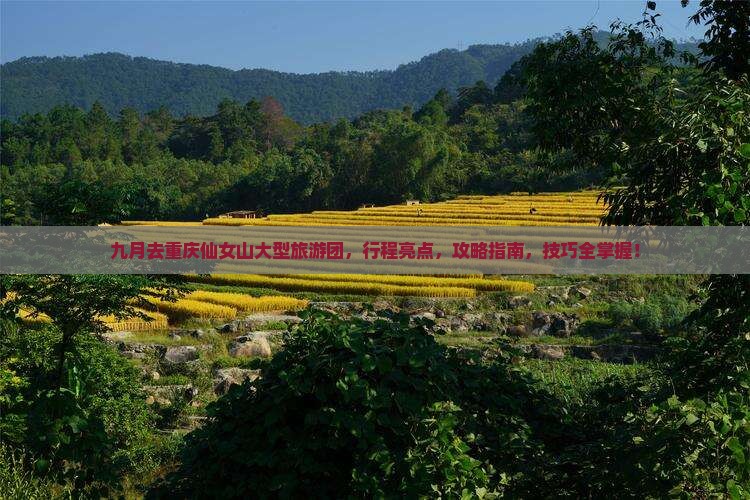 九月去重庆仙女山大型旅游团