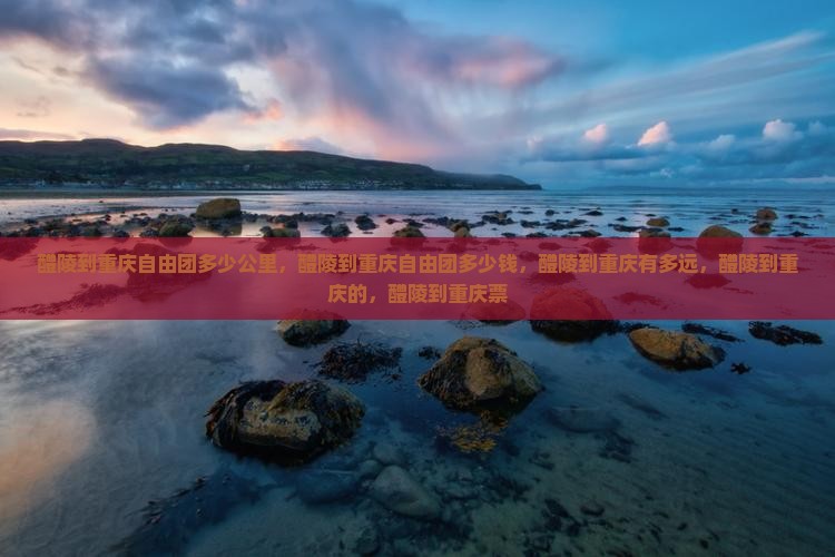 醴陵到重庆自由团