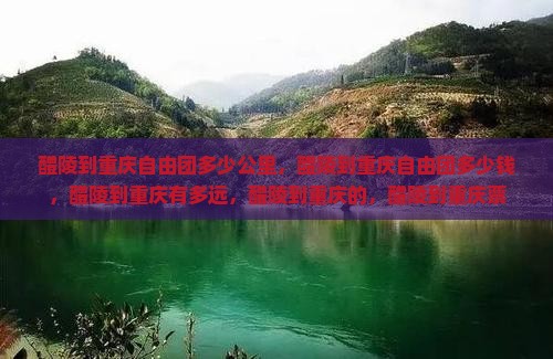 醴陵到重庆自由团