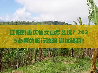 辽阳到重庆仙女山旅行社