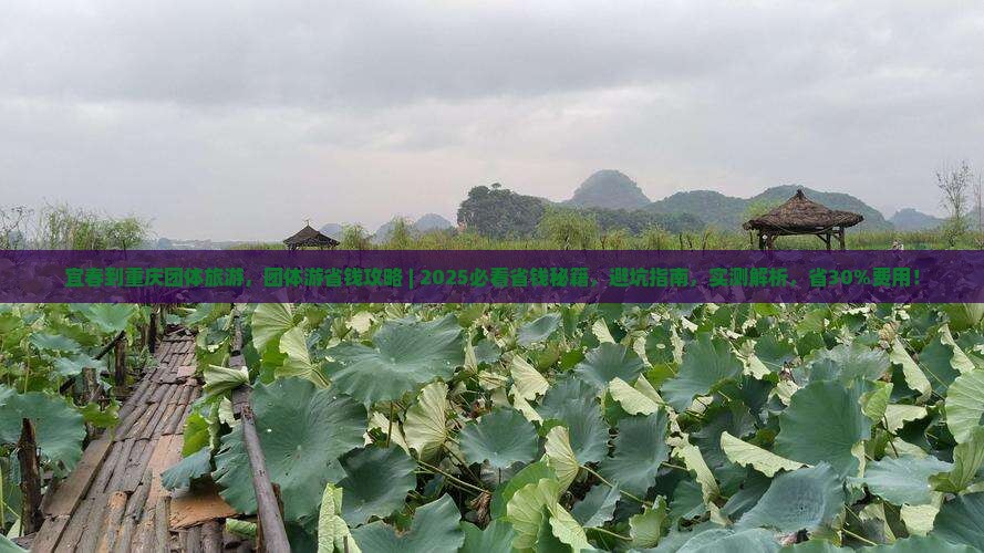 宜春到重庆团体旅游
