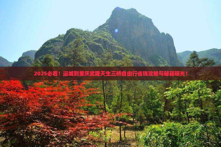 运城到重庆武隆天生三桥自由团 运城到重庆武隆天生三桥自由团