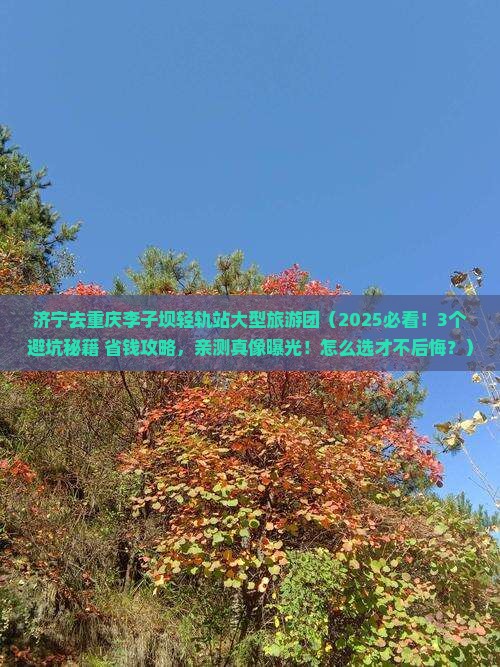 济宁去重庆李子坝轻轨站大型旅游团