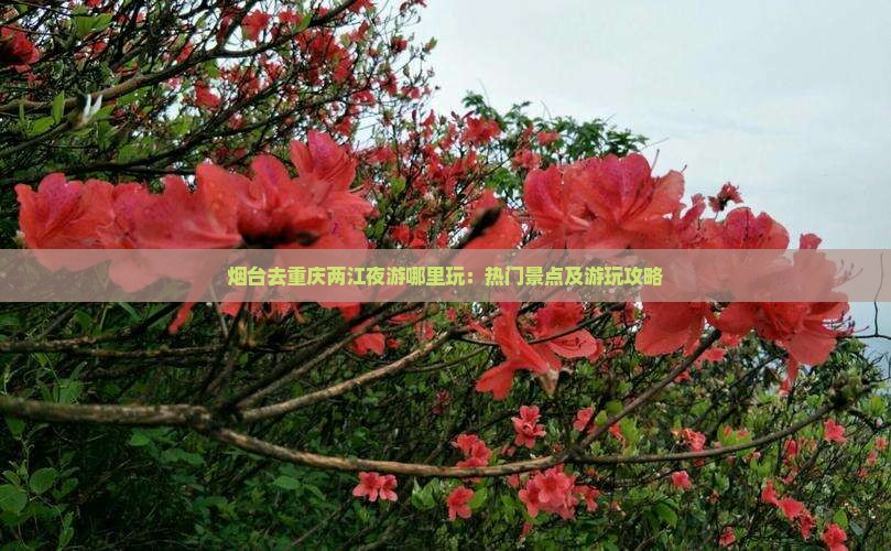 烟台去重庆两江夜游哪里玩：热门景点及游玩攻略