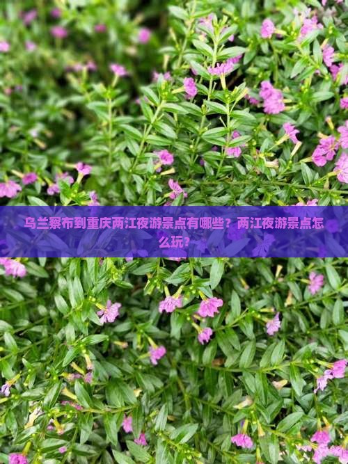 乌兰察布到重庆两江夜游景点有哪些？两江夜游景点怎么玩？
