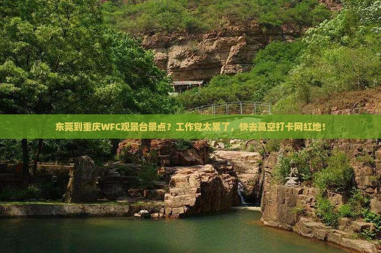 东莞到重庆WFC观景台景点？工作党太累了，快去高空打卡网红地！