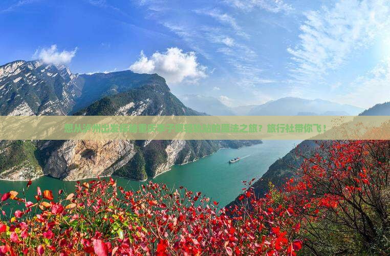 想从泸州出发探秘重庆李子坝轻轨站的魔法之旅？旅行社带你飞！