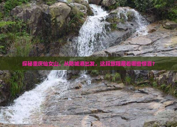 探秘重庆仙女山，从防城港出发，这段旅程藏着哪些惊喜？