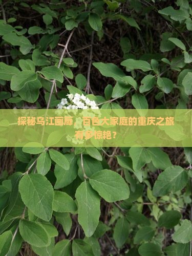 探秘乌江画廊，百色大家庭的重庆之旅有多惊艳？