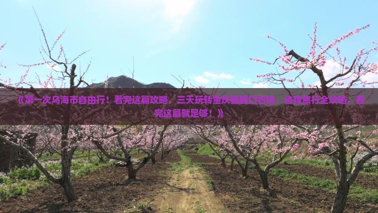 《第一次乌海市自由行！看完这篇攻略，三天玩转重庆磁器口古镇，省钱旅行全攻略，看完这篇就足够！》
