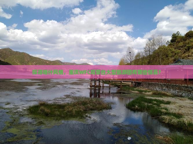 探寻喀什风情，重庆WFC观景台大型旅游团有哪些惊喜？