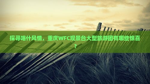 探寻喀什风情，重庆WFC观景台大型旅游团有哪些惊喜？