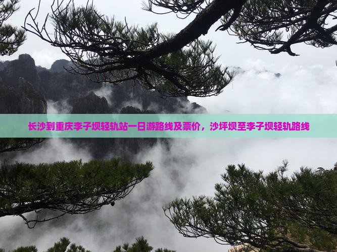 长沙到重庆李子坝轻轨站一日游路线及票价，沙坪坝至李子坝轻轨路线