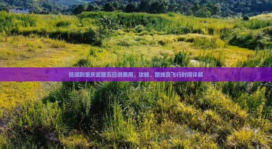 抚顺到重庆武隆五日游费用、攻略、路线及飞行时间详解