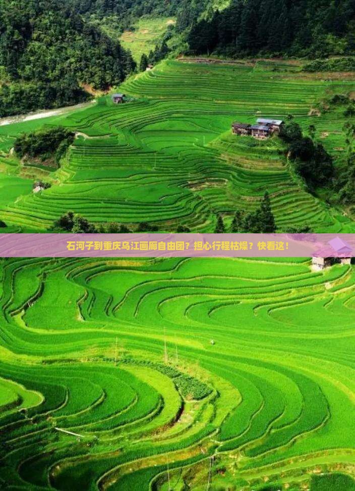 石河子到重庆乌江画廊自由团？担心行程枯燥？快看这！