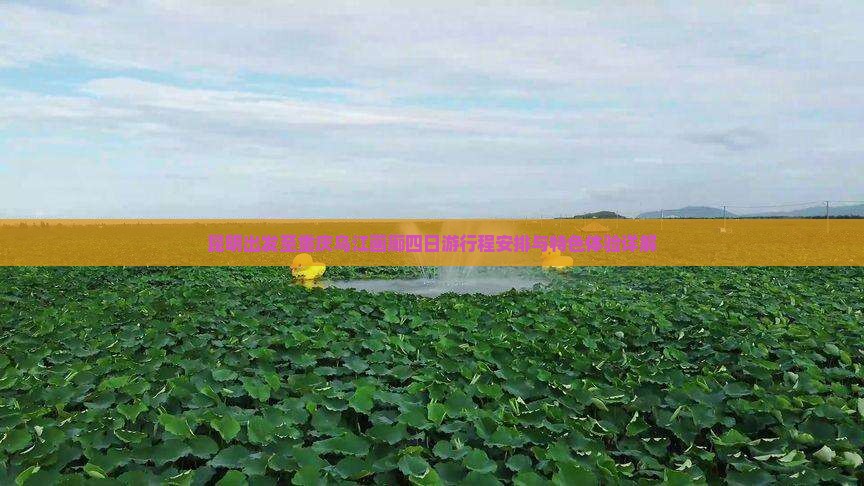 昆明出发至重庆乌江画廊四日游行程安排与特色体验详解