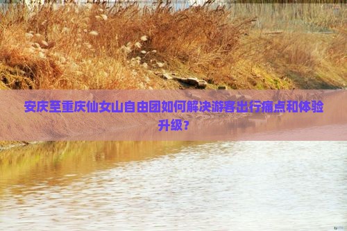 安庆至重庆仙女山自由团如何解决游客出行痛点和体验升级？