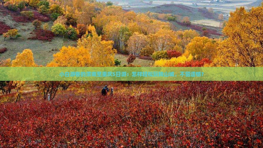 小白游客的渭南至重庆5日游：怎样轻松玩转山城，不留遗憾？
