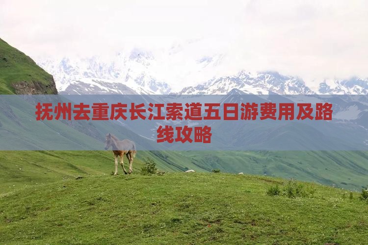 抚州去重庆长江索道五日游费用及路线攻略