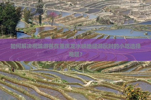 如何解决桐城游客在重庆龙水峡地缝游玩时的小吃选择难题？