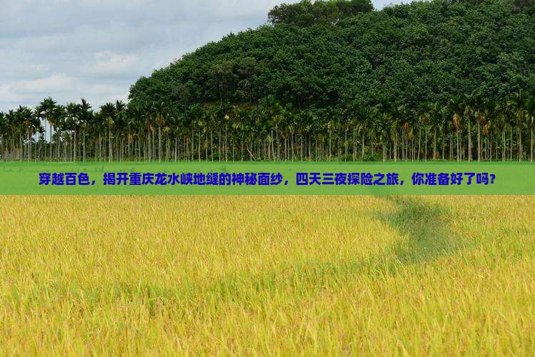 穿越百色，揭开重庆龙水峡地缝的神秘面纱，四天三夜探险之旅，你准备好了吗？