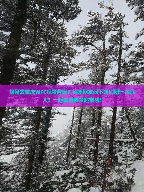 组团去重庆WFC观景台玩？德州朋友问下咱们团一共几人？一起去看夜景超带感！
