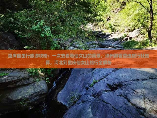 重庆自由行旅游攻略：一次去看看仙女山的美景，漳州游客首选旅行社推荐，河北到重庆仙女山旅行全解析