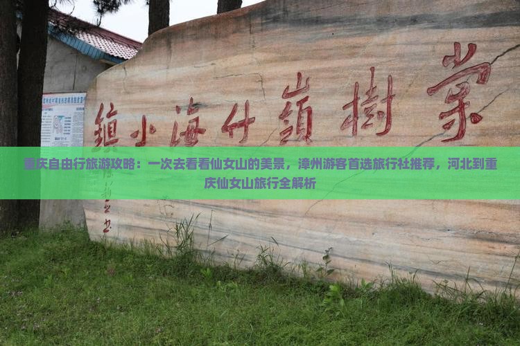 重庆自由行旅游攻略：一次去看看仙女山的美景，漳州游客首选旅行社推荐，河北到重庆仙女山旅行全解析