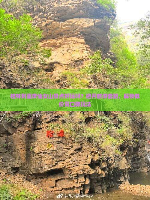 桂林到重庆仙女山景点好玩吗？避开旅游套路，解锁低价高口碑玩法