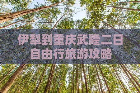 伊犁到重庆武隆二日自由行旅游攻略