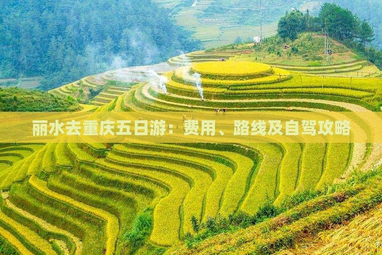 丽水去重庆五日游：费用、路线及自驾攻略