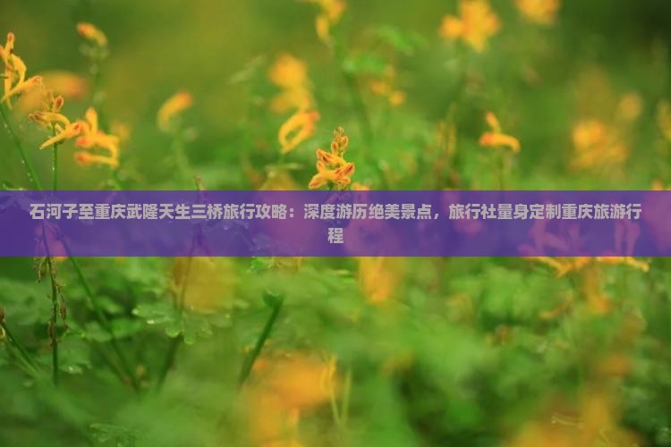 石河子至重庆武隆天生三桥旅行攻略：深度游历绝美景点，旅行社量身定制重庆旅游行程