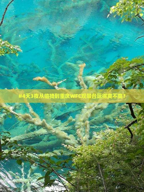 #4天3夜从临猗到重庆WFC观景台玩得爽不爽？