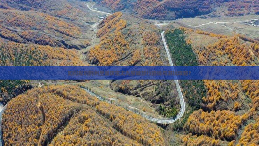 如何规划荆州至重庆蚩尤九黎城旅行路线与游玩攻略？
