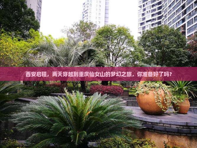 西安启程，两天穿越到重庆仙女山的梦幻之旅，你准备好了吗？