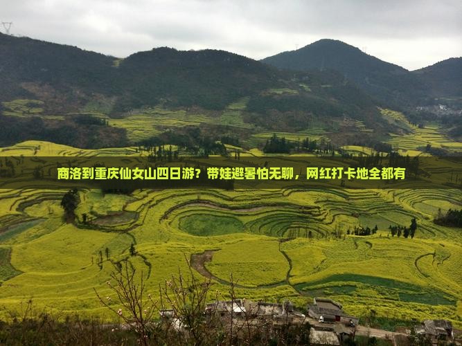 商洛到重庆仙女山四日游？带娃避暑怕无聊，网红打卡地全都有