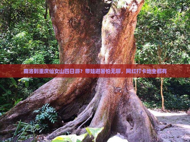 商洛到重庆仙女山四日游？带娃避暑怕无聊，网红打卡地全都有
