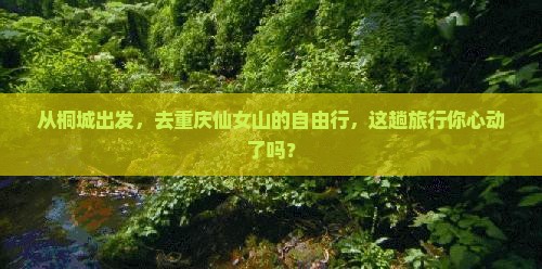 从桐城出发,去重庆仙女山的自由行,这趟旅行你心动了吗? 从桐城出发,去重庆仙女山的自由行,这趟旅行你心动了吗?