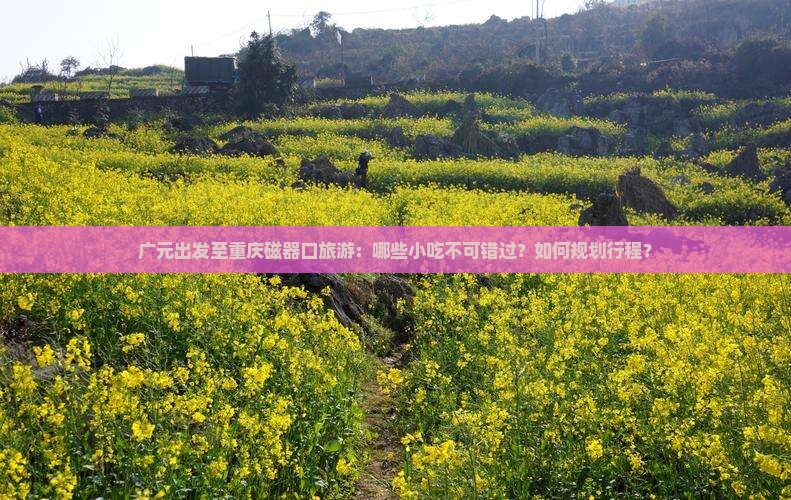 广元出发至重庆磁器口旅游：哪些小吃不可错过？如何规划行程？