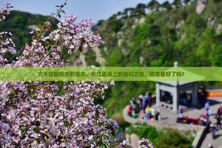 六天穿越新余到重庆，长江索道上的奇幻之旅，你准备好了吗？