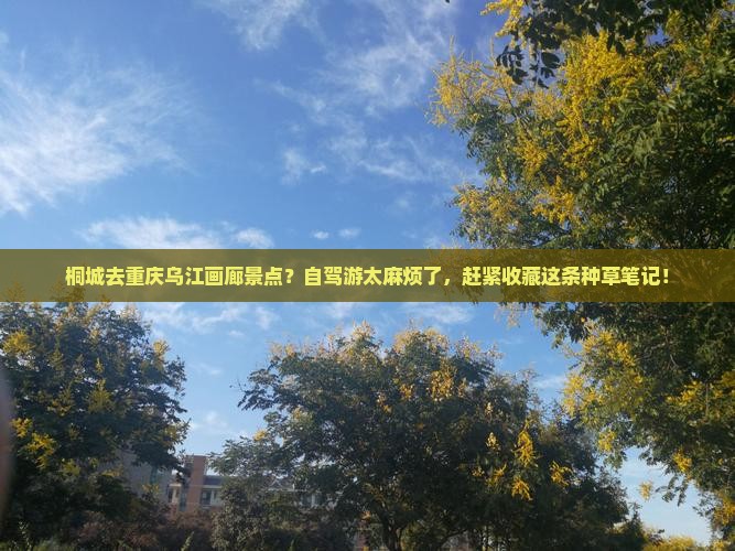 桐城去重庆乌江画廊景点？自驾游太麻烦了，赶紧收藏这条种草笔记！