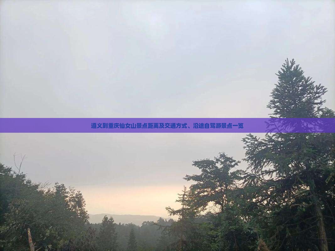 遵义到重庆仙女山景点距离及交通方式、沿途自驾游景点一览