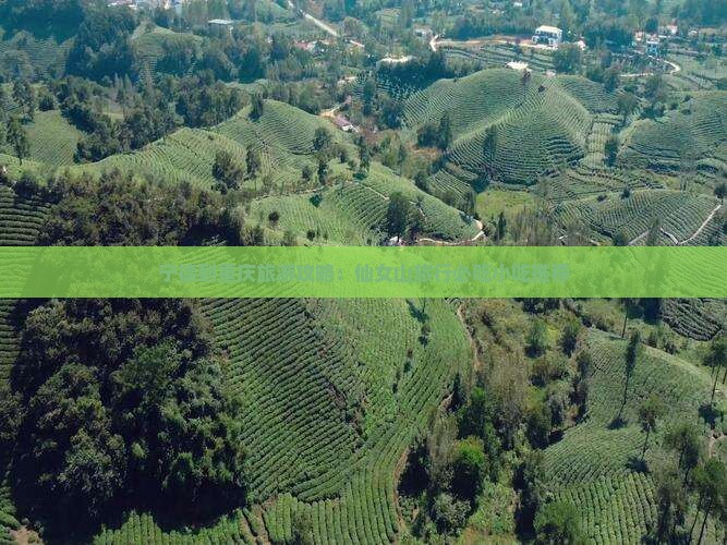 宁德到重庆旅游攻略：仙女山旅行必吃小吃推荐