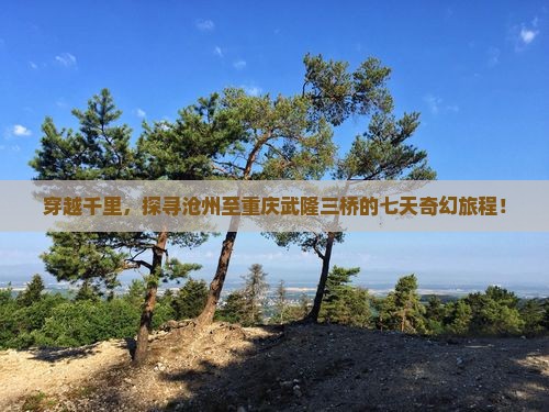 穿越千里，探寻沧州至重庆武隆三桥的七天奇幻旅程！