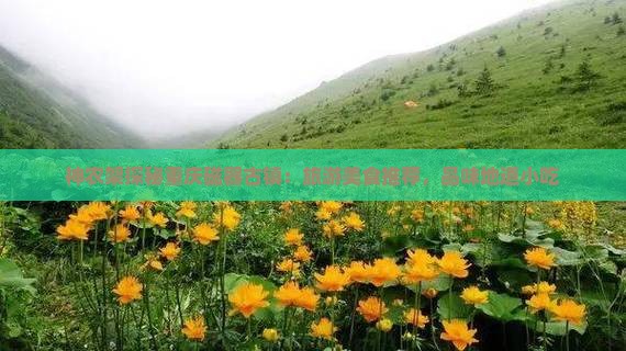 神农架探秘重庆磁器古镇：旅游美食推荐，品味地道小吃